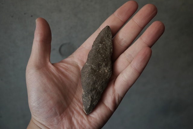 長野県産玄能石(イカイト仮晶、グレンドナイト) Ikaite / Glendonite 1670