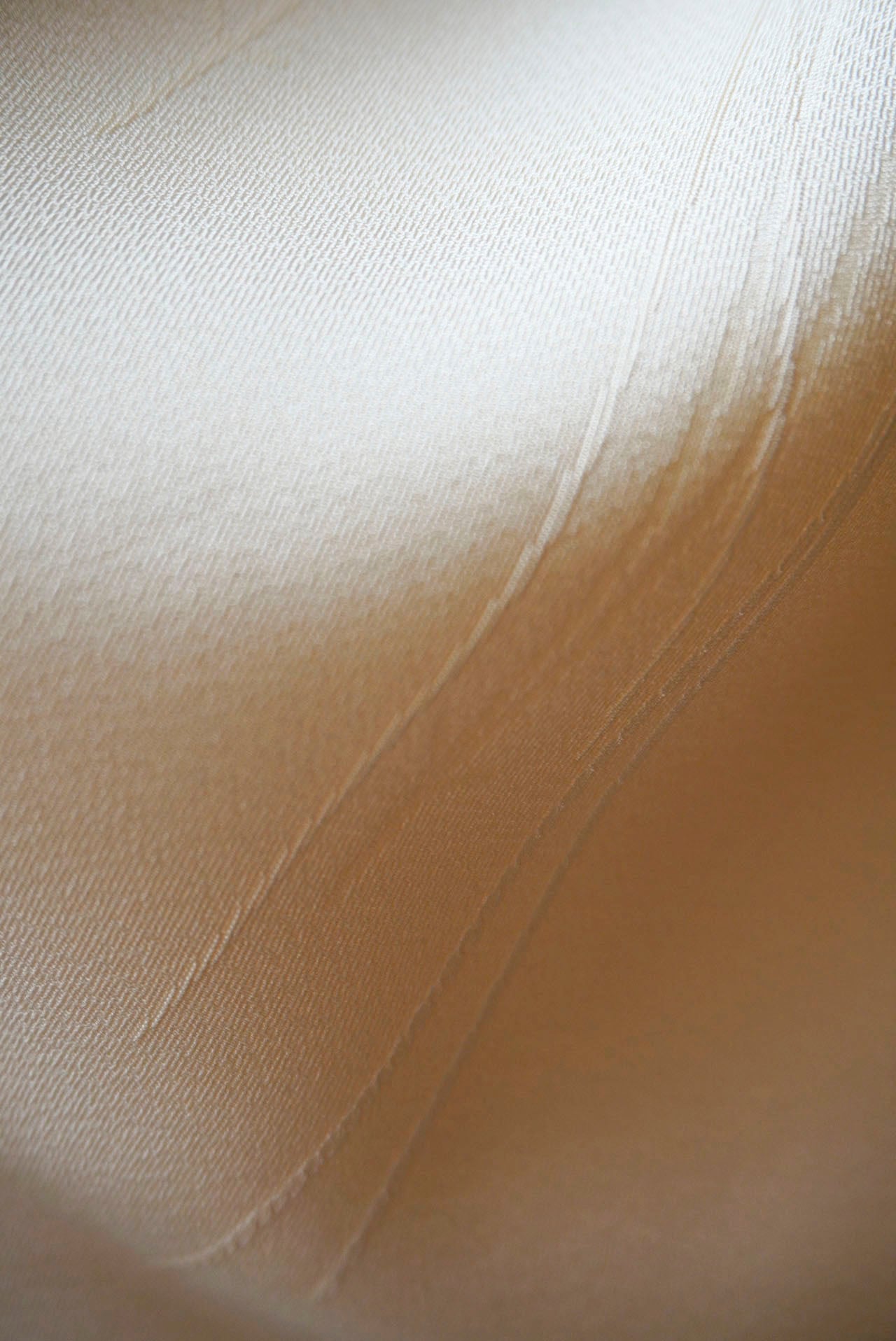 504mi44☆色無地 地紋 植物文 葉 くすんだ辛子色☆美品 504mi44☆色無地 地紋 植物文 葉 くすんだ辛子色☆美品 - メルカリ