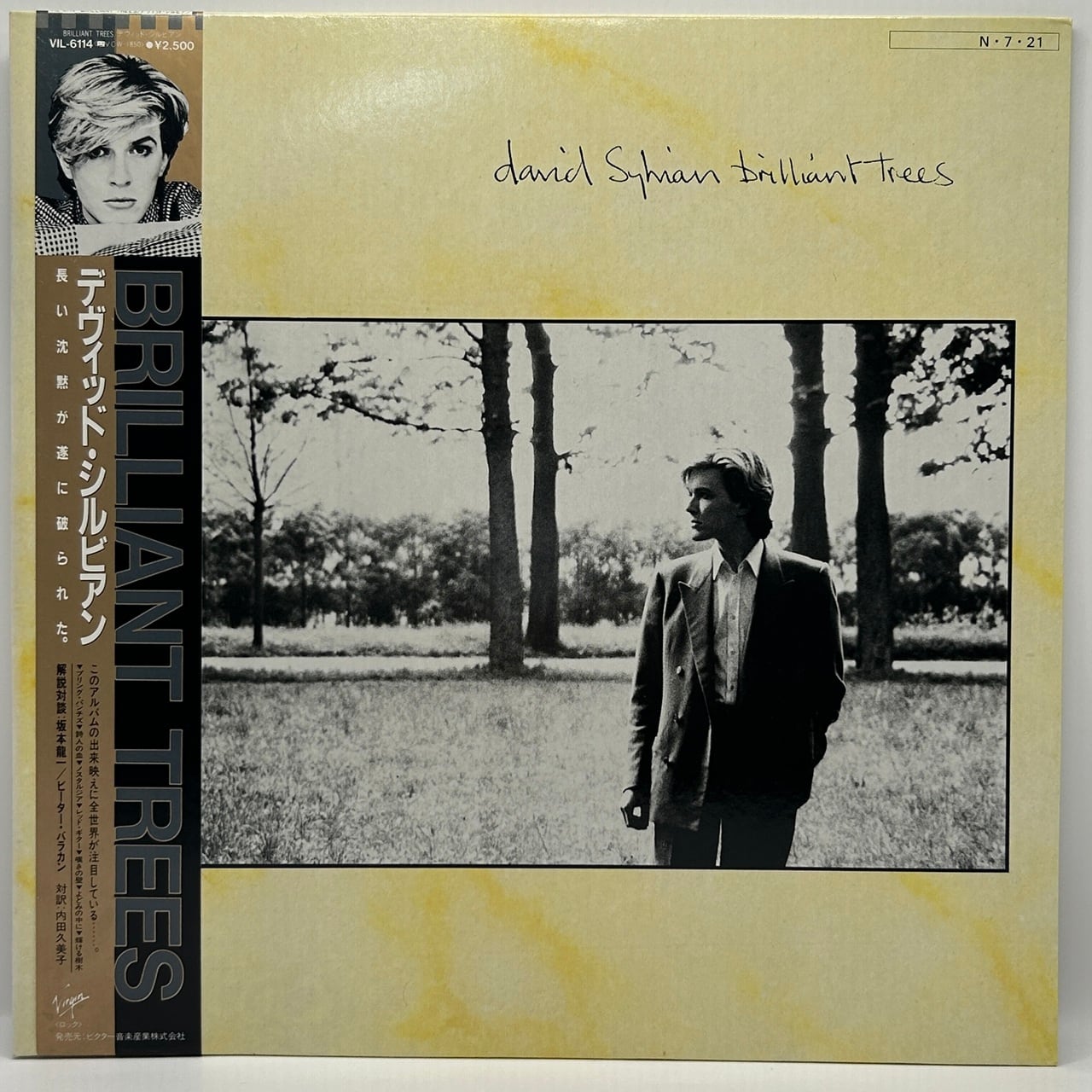【LP】デヴィッド・シルビアン – ブリリアント・トゥリーズ