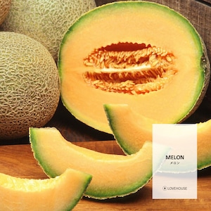 【50ml】メロン フレグランスオイル  (Melon)
