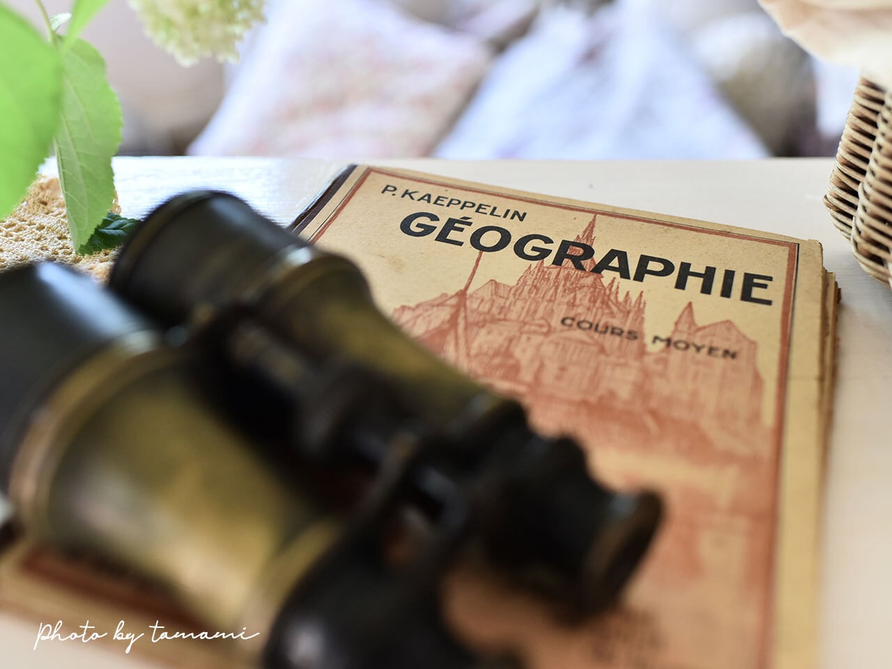 表紙のデッサンが美しい地理の本(B) *フランスアンティーク