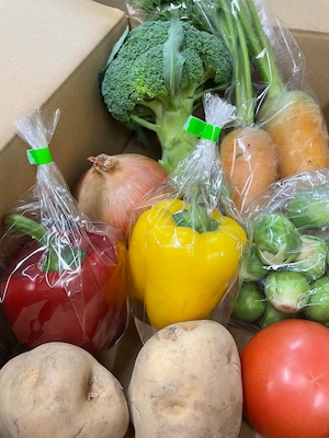 煮込み料理用野菜おまかせセット