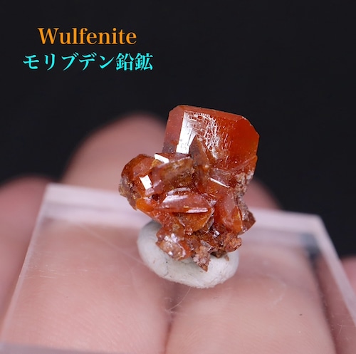 モリブデン鉛鉱 ウェルフェナイト 1,9g WF131 天然石 鉱物 原石