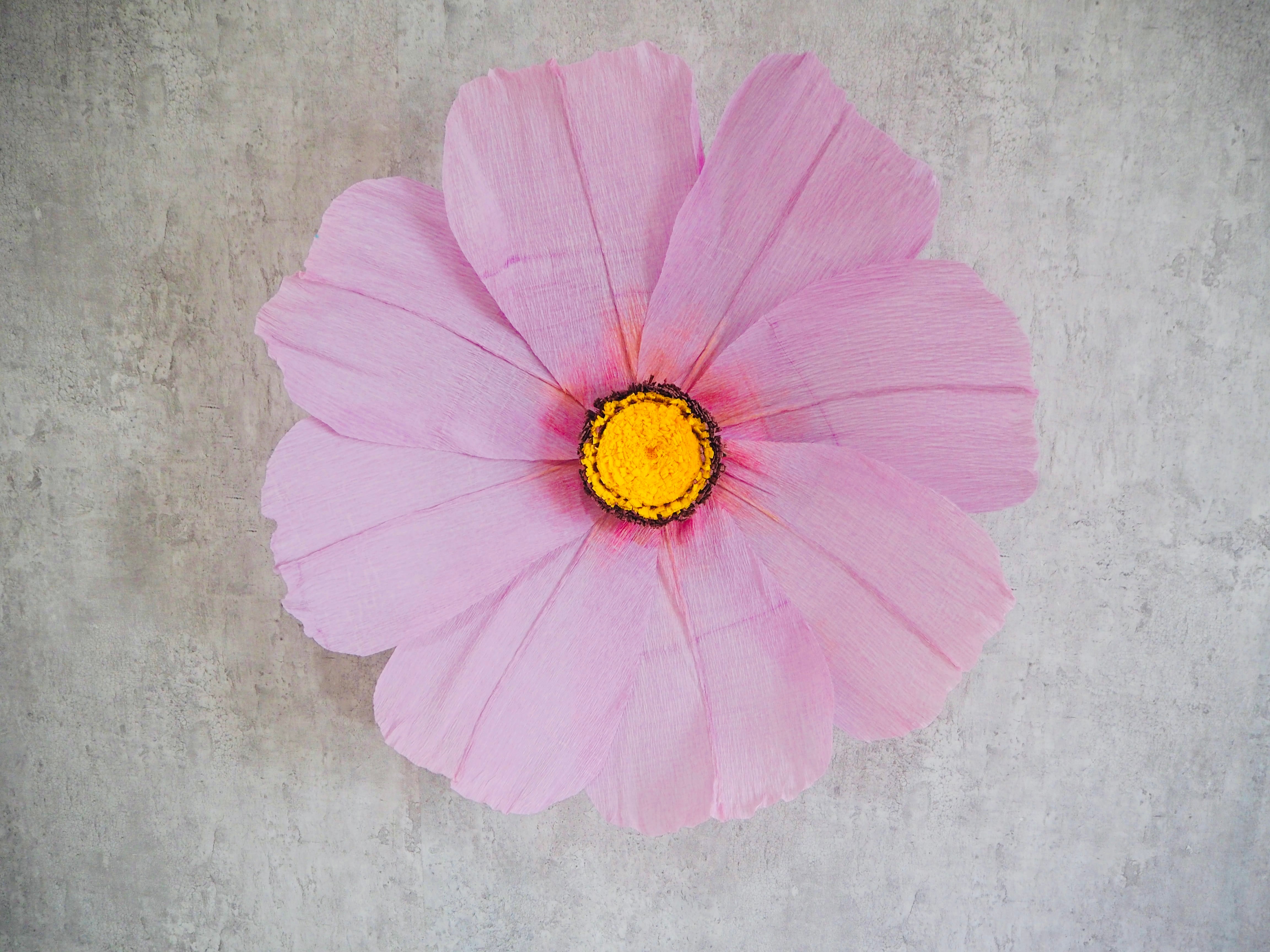 コスモス“（茎付き） | giantflower
