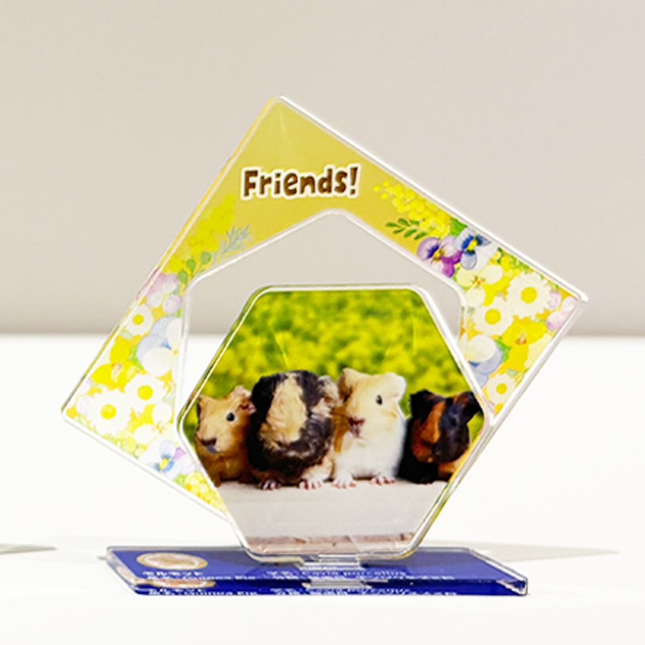 図鑑風アクリルスタンド なかよし動物 3種セット | ZOOっとながの