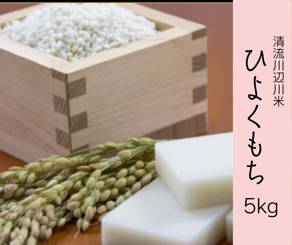新春特価‼️ホタル舞う熊本産お米25kg