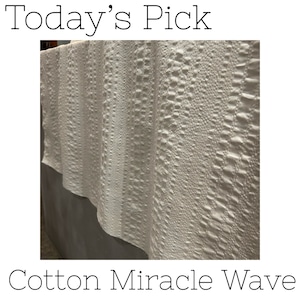 【Today's Pick】Cotton Miracle Wave【2024/04/24】