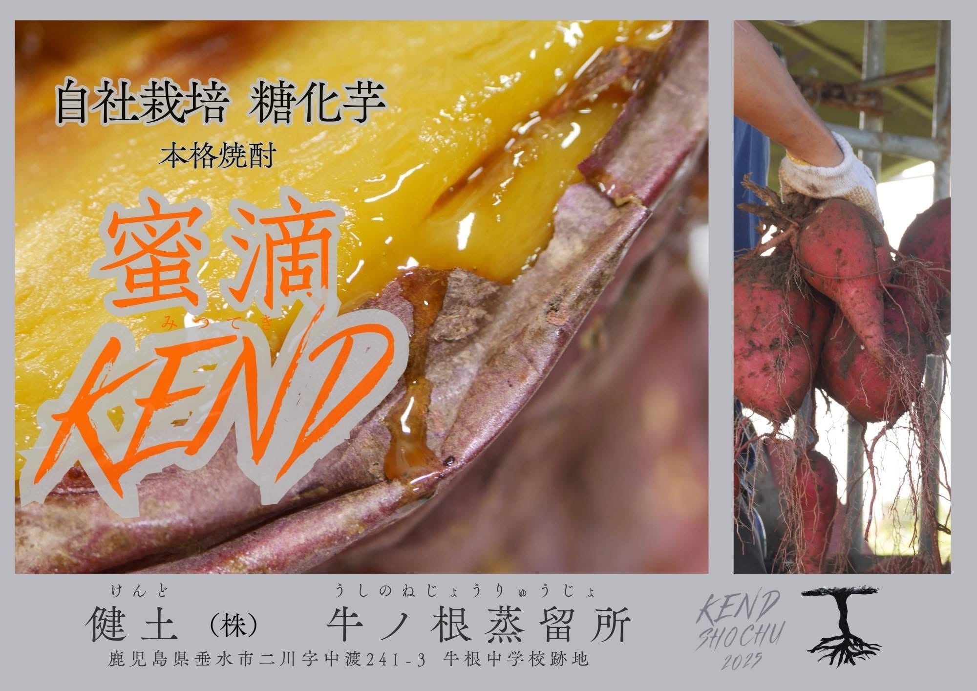 健土㈱牛ノ根蒸留所『「健土」「蜜滴KEND」「PHOENIX」1stボトル3銘柄