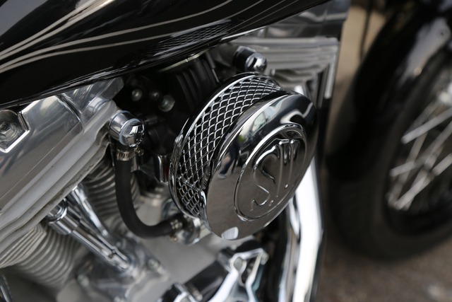 2010 FXD  Custom "Psycho Vertice"