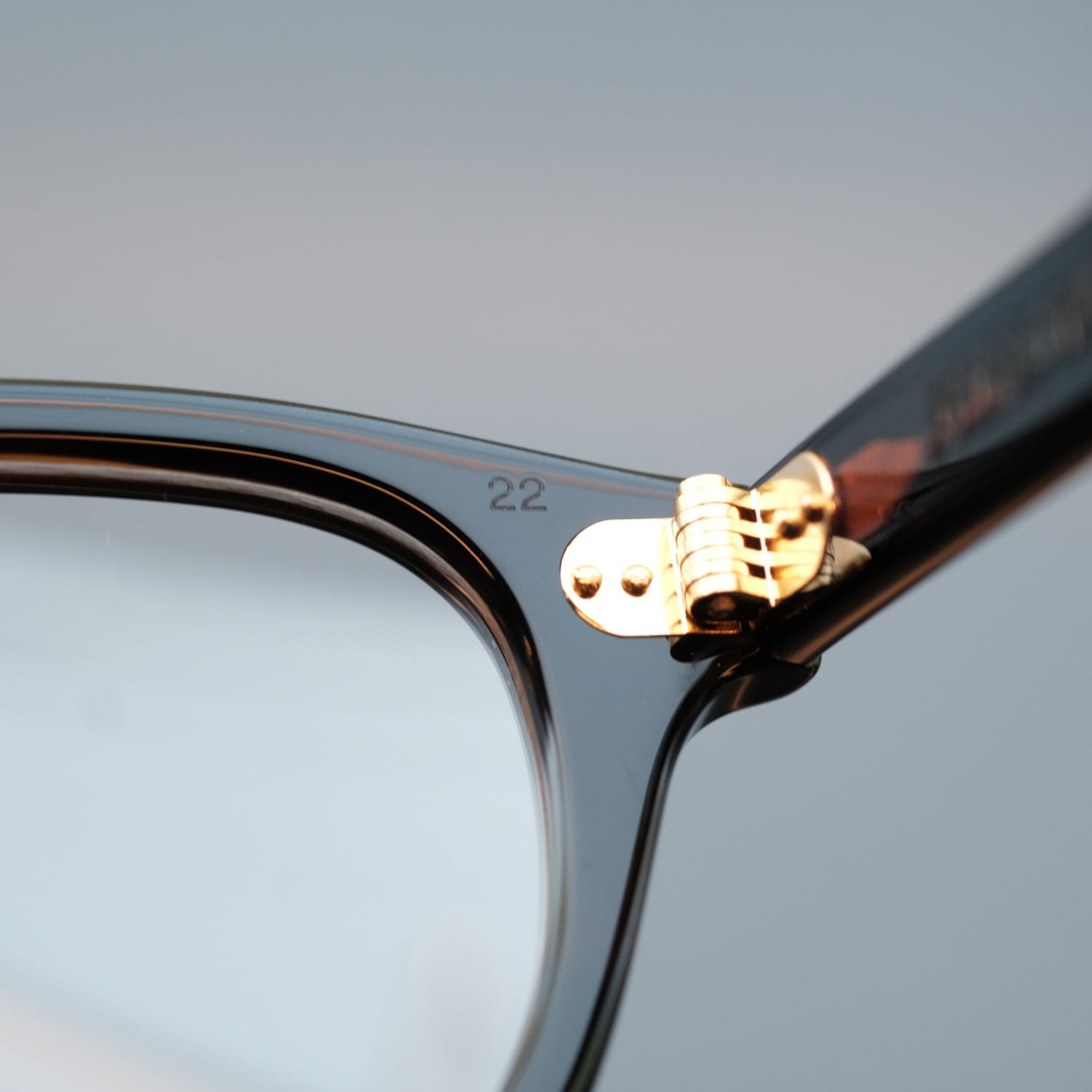 JULIUS TART OPTICAL】AR 48□22 Gold Edition - Deep Brown Sasa