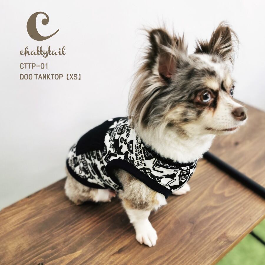 chattytail