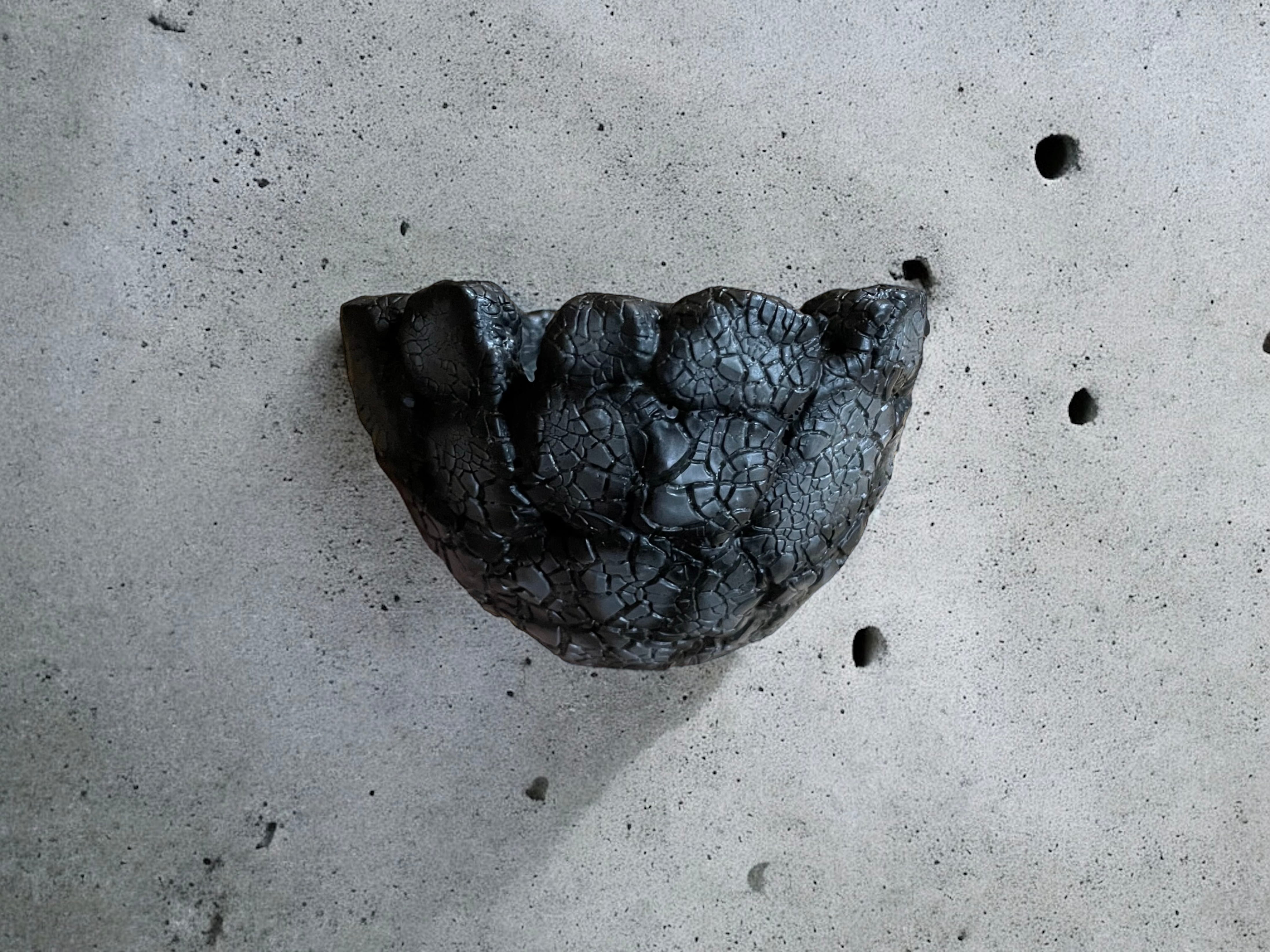 F.E.P. (Five Elements Plants)