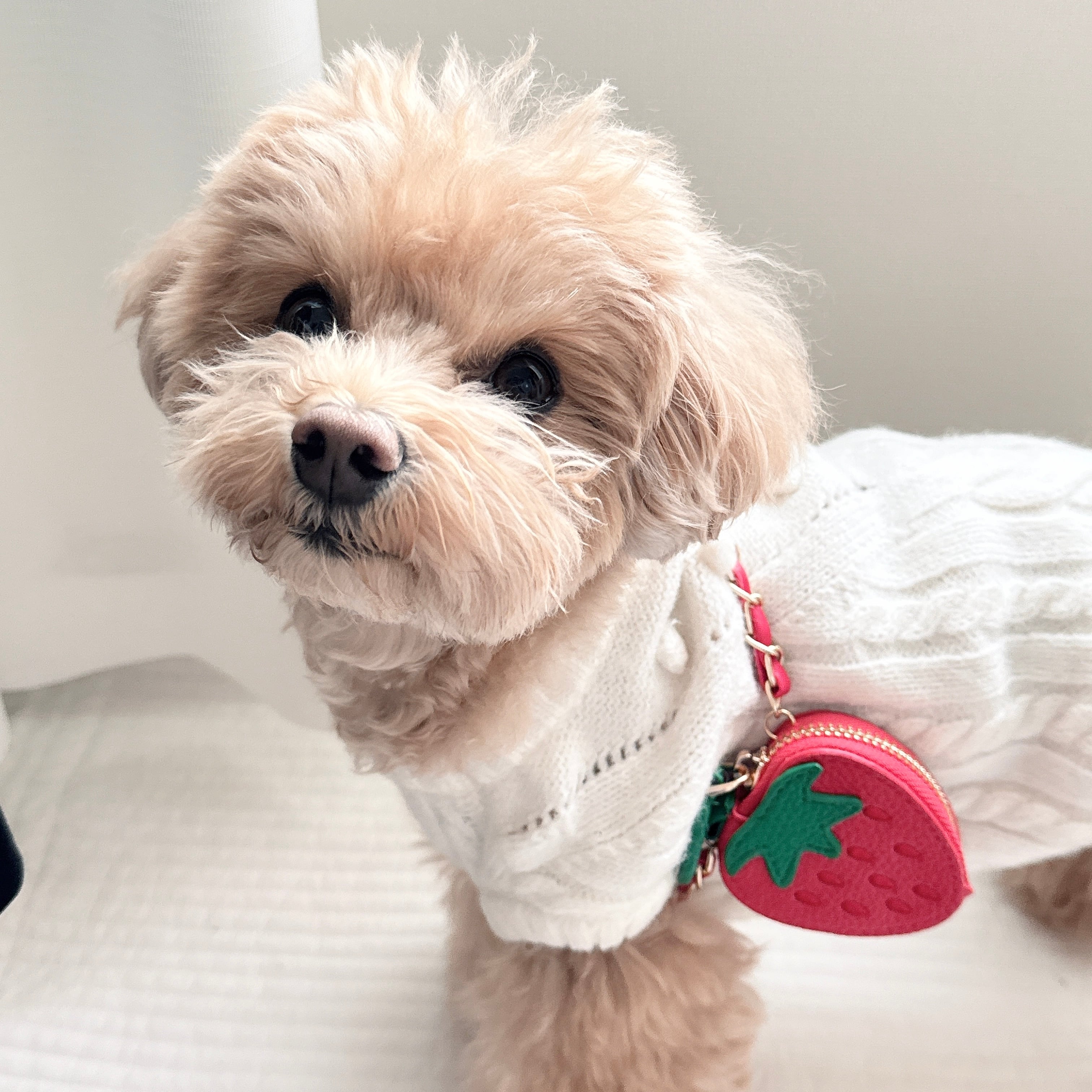 いちご斜め掛けバック