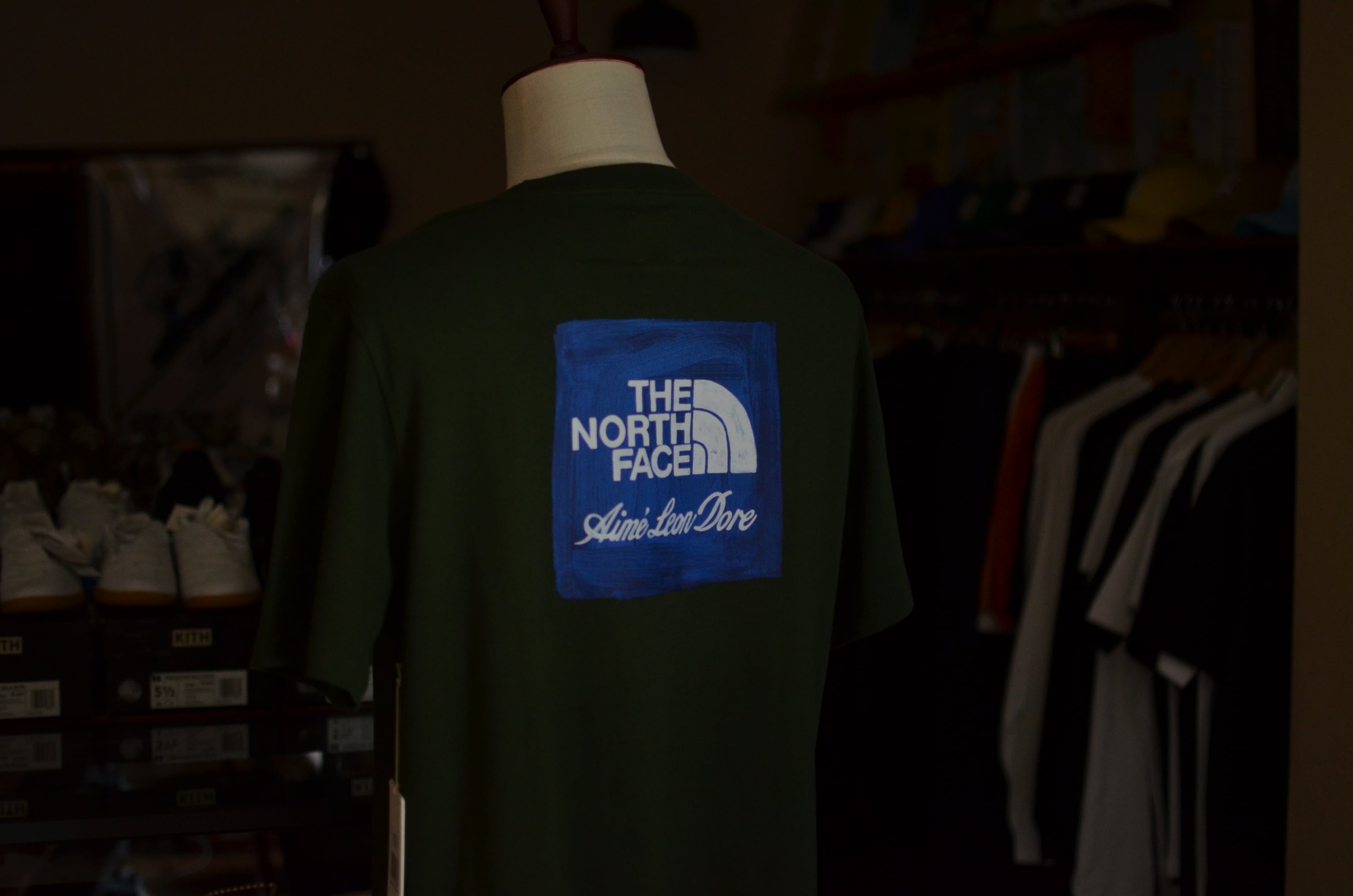 THE NORTH FACE × AIMÉ LEON DORE TEE green プレゼント付き