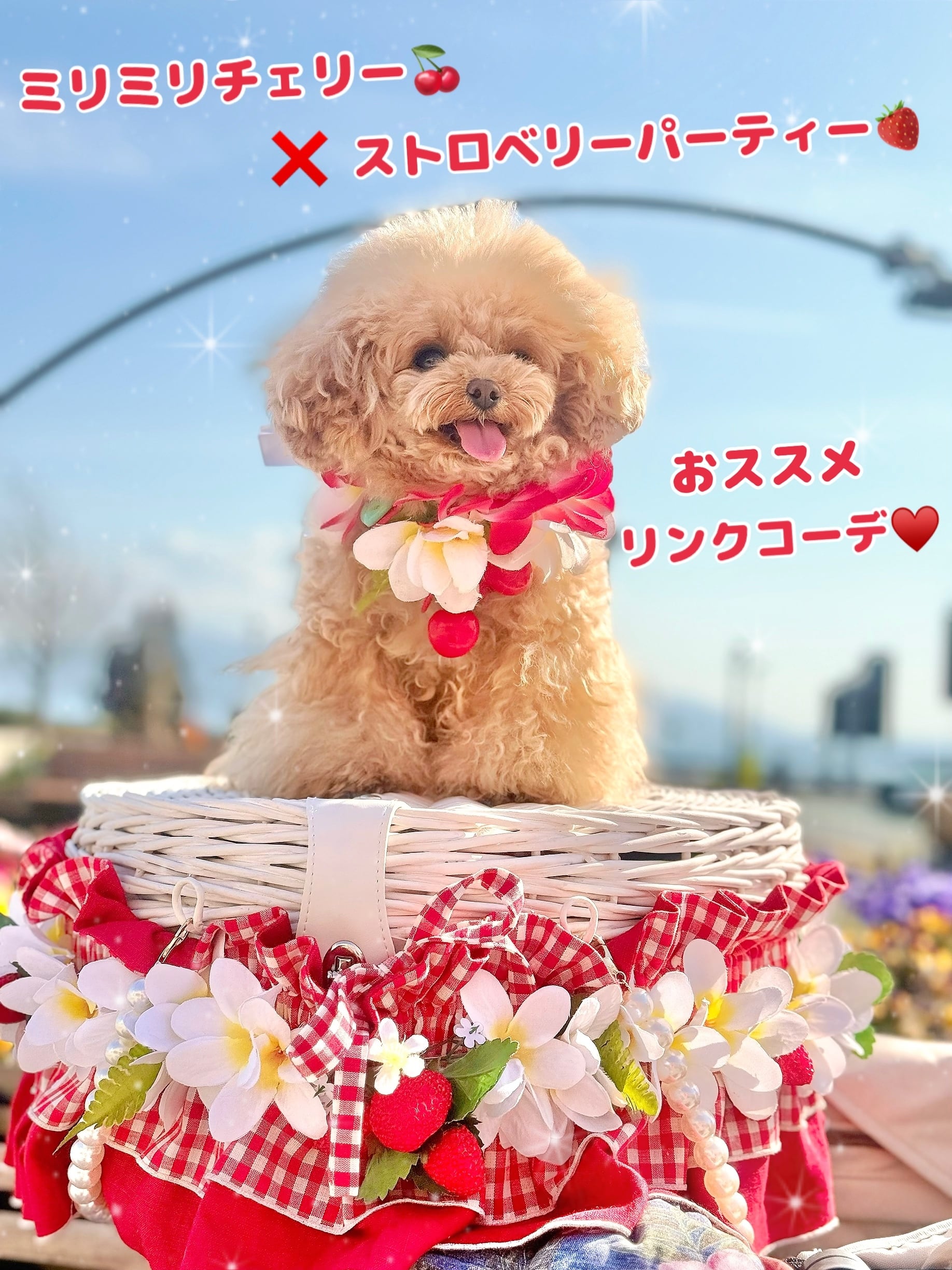 ミリミリチェリー