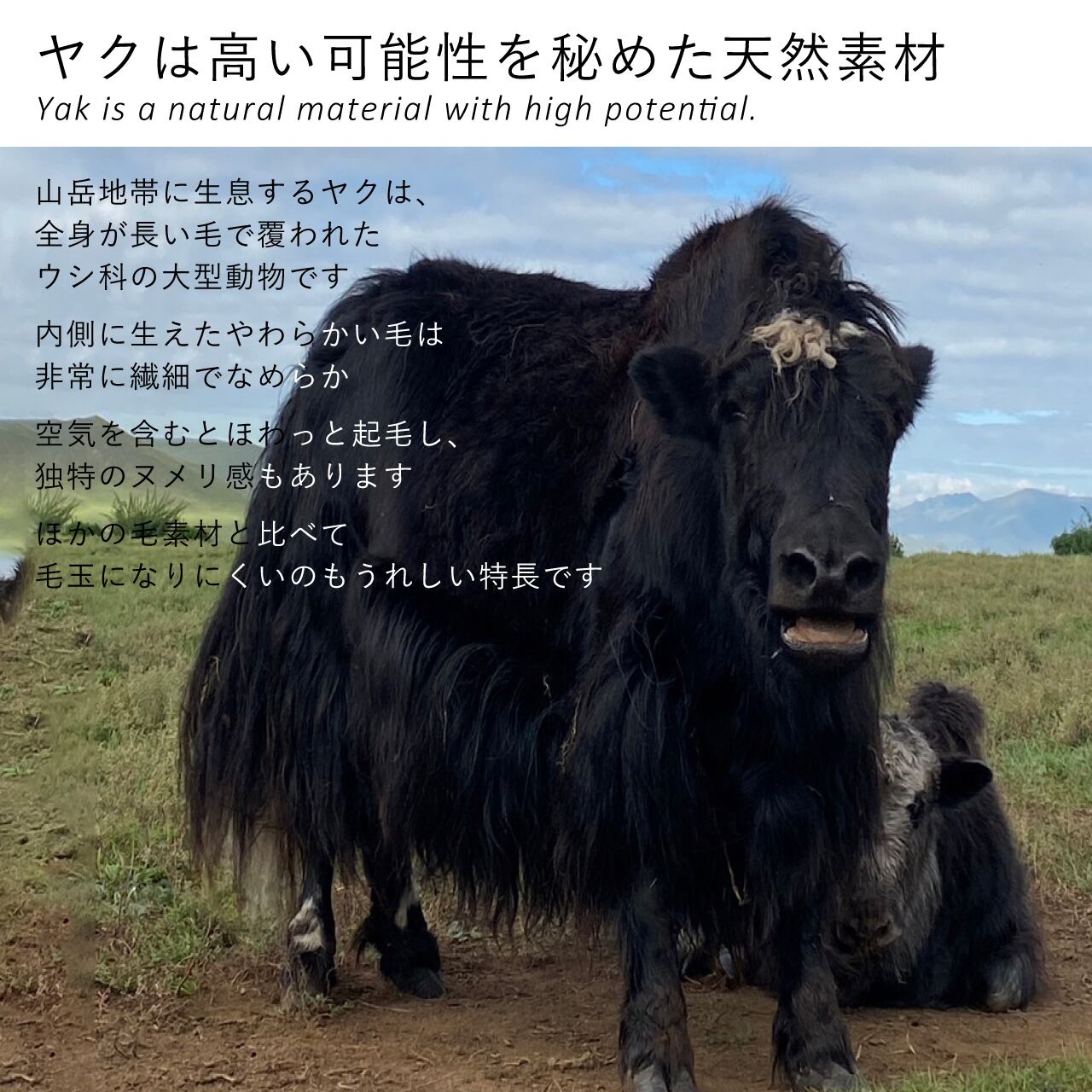 ヤクのバルーン袖カーディガン | 空飛ぶ羊 BASE webshop｜モンゴルの