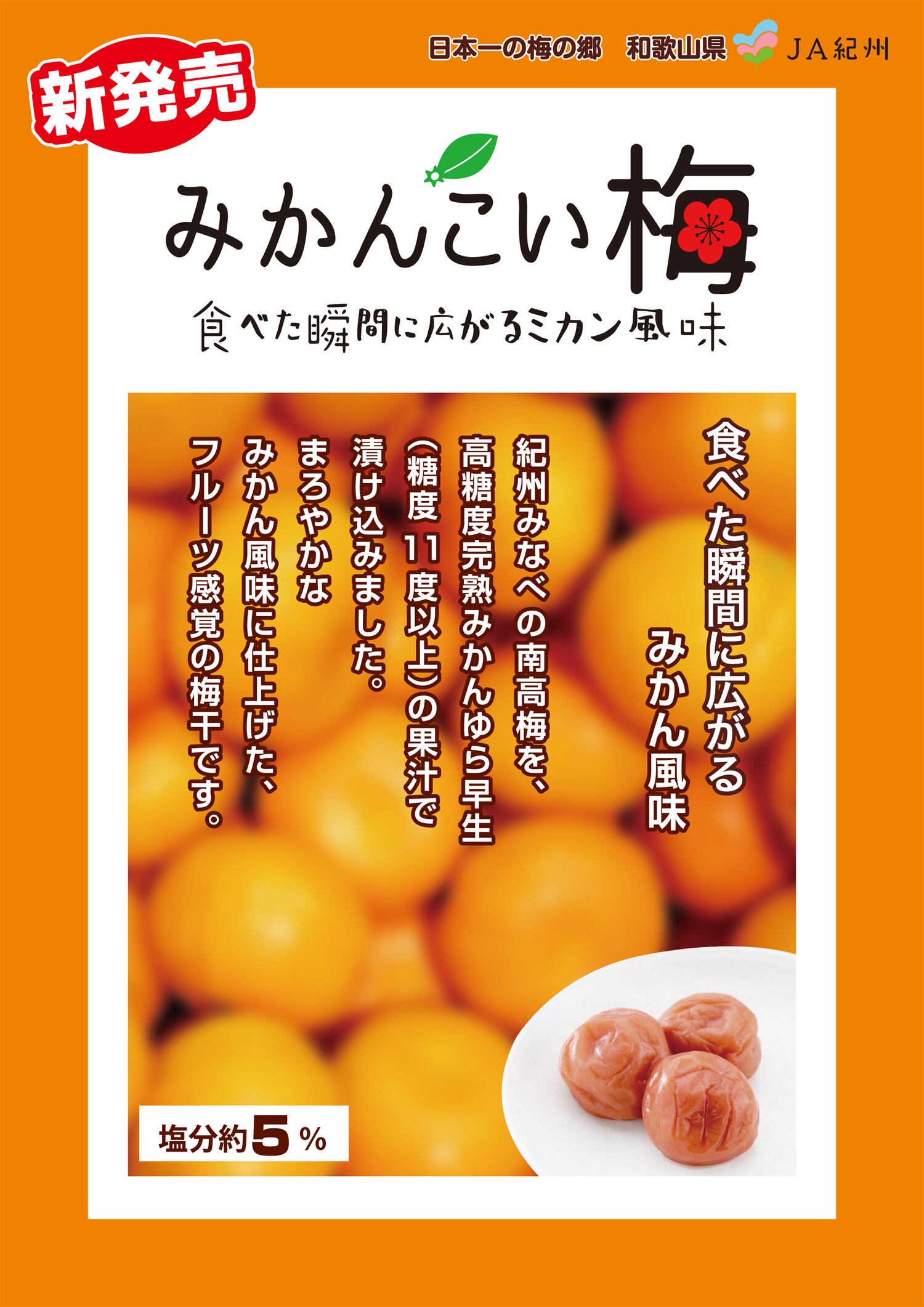 紀州みなべ南高梅】 みかんこい梅 テトラ個包装 1粒入：塩分約5％ | 梅天神