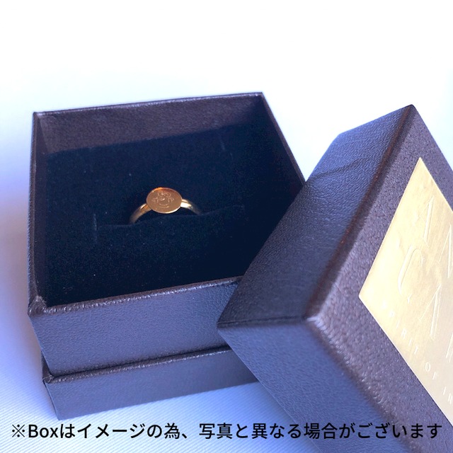 【冷凍生地/frozen dough 】バームブラック / Barmbrack ※リング付き/with a ring