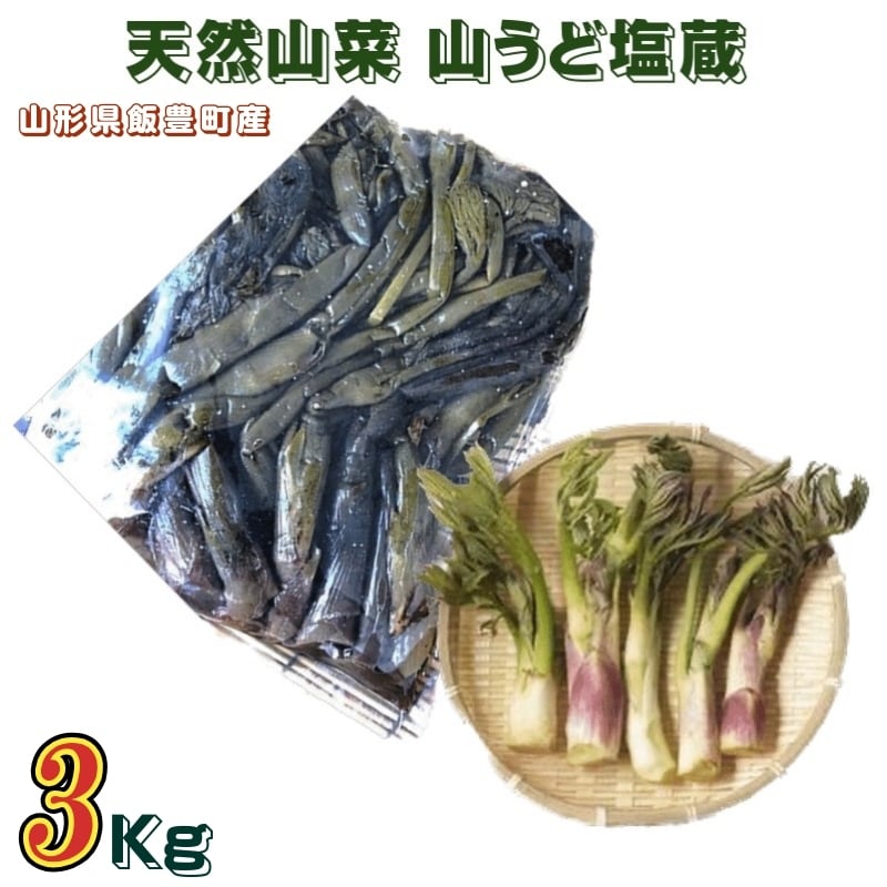 新鮮な天然山ウド10kg Amazon.co.jp: 山うど 約1kg | 山ウド 山独活