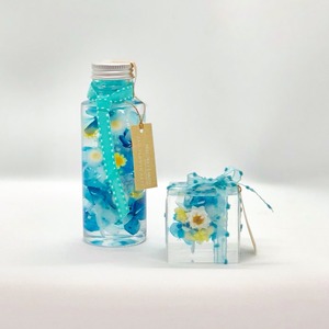 【父の日】人気商品特別セット　森の精(小)