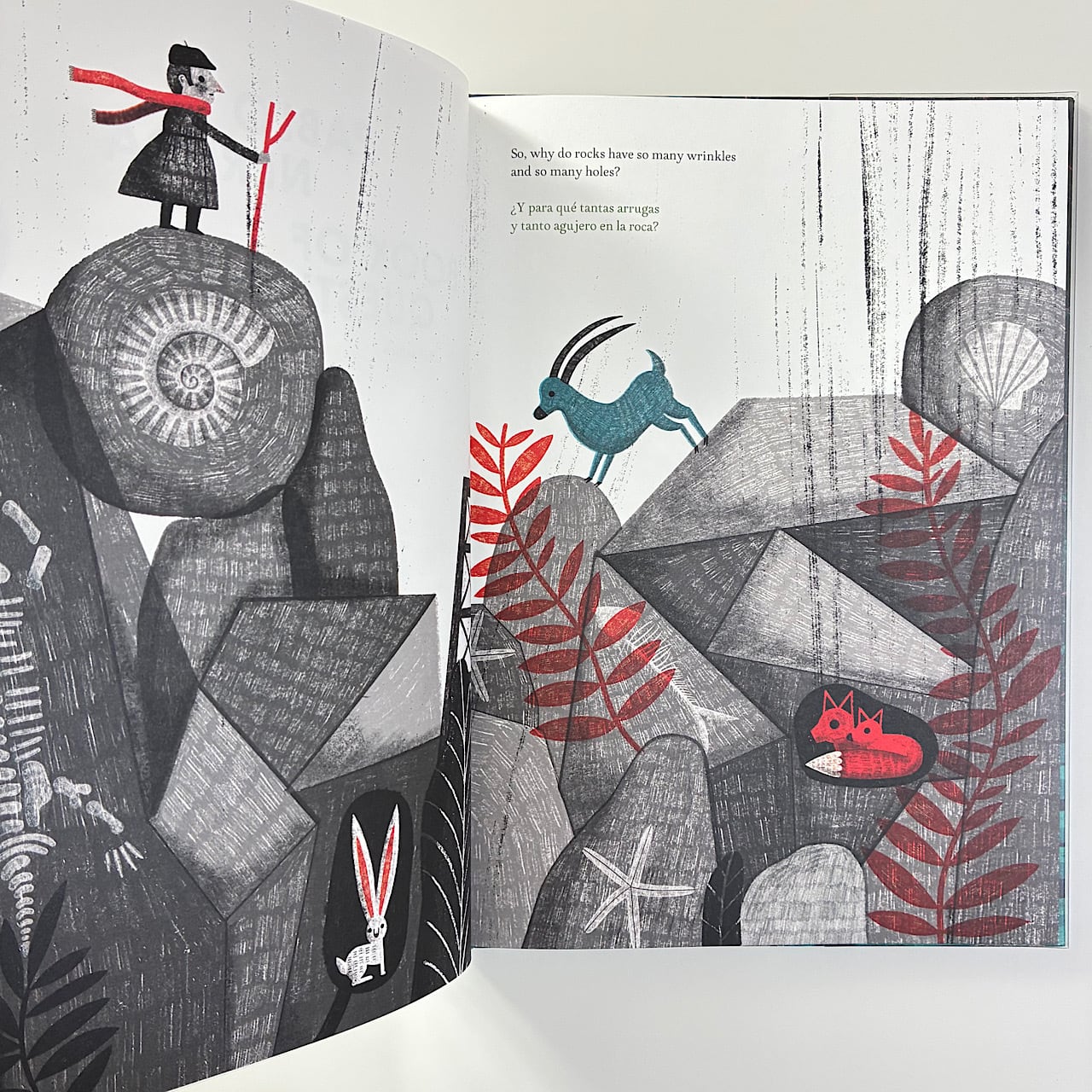 Book of Questions | 素敵な洋書絵本のお店 Read Leaf Books