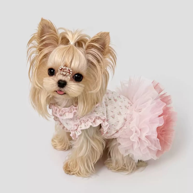 チュチュスカートのピンクワンピース 犬服 01278