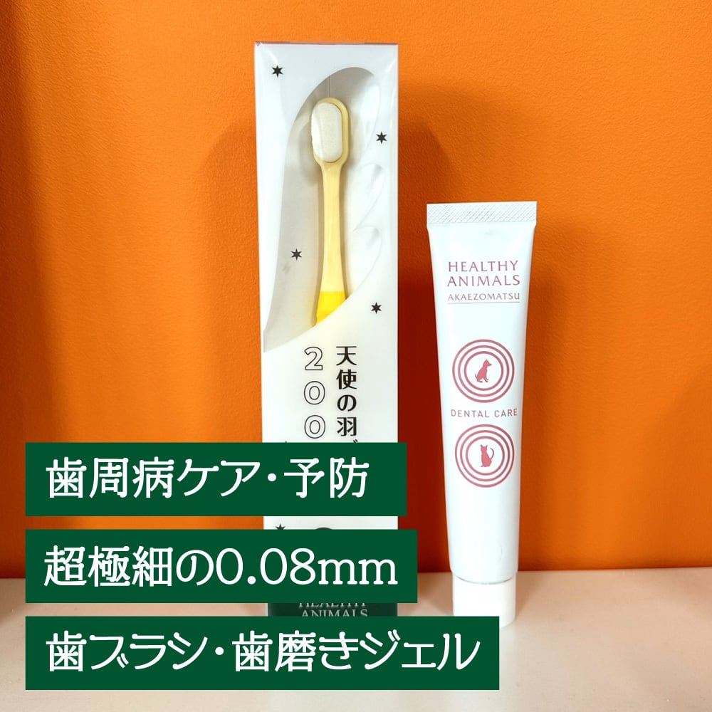 Dr. Dental Wan デンタルケア 30g2個セット(スプーン付き) ドクターデンタルワン30g 2個セット ミニスプーン付 ドクターデンタル