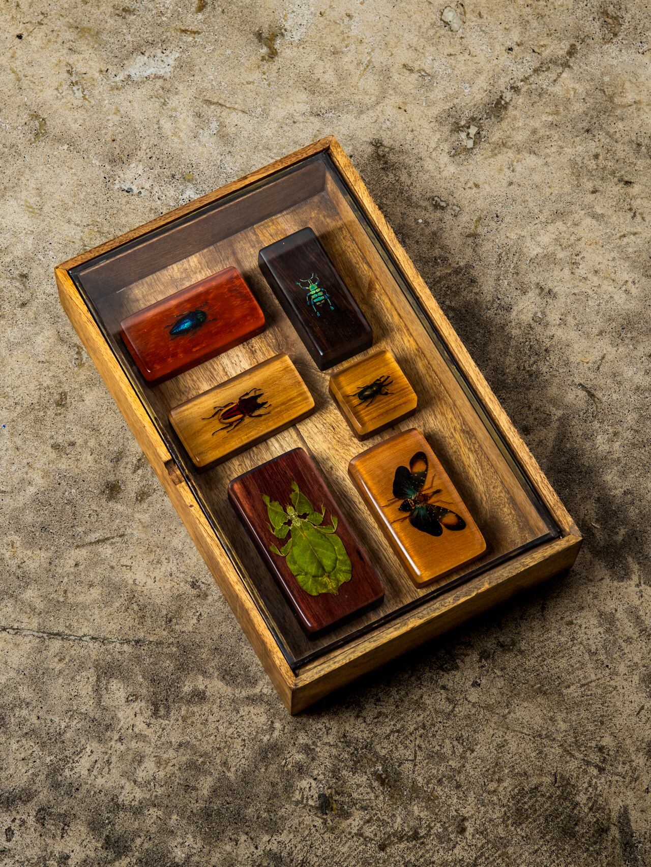 ミンダナオ島産タマムシ / 台座:チーク / キーチェーン / JELLY BUGS