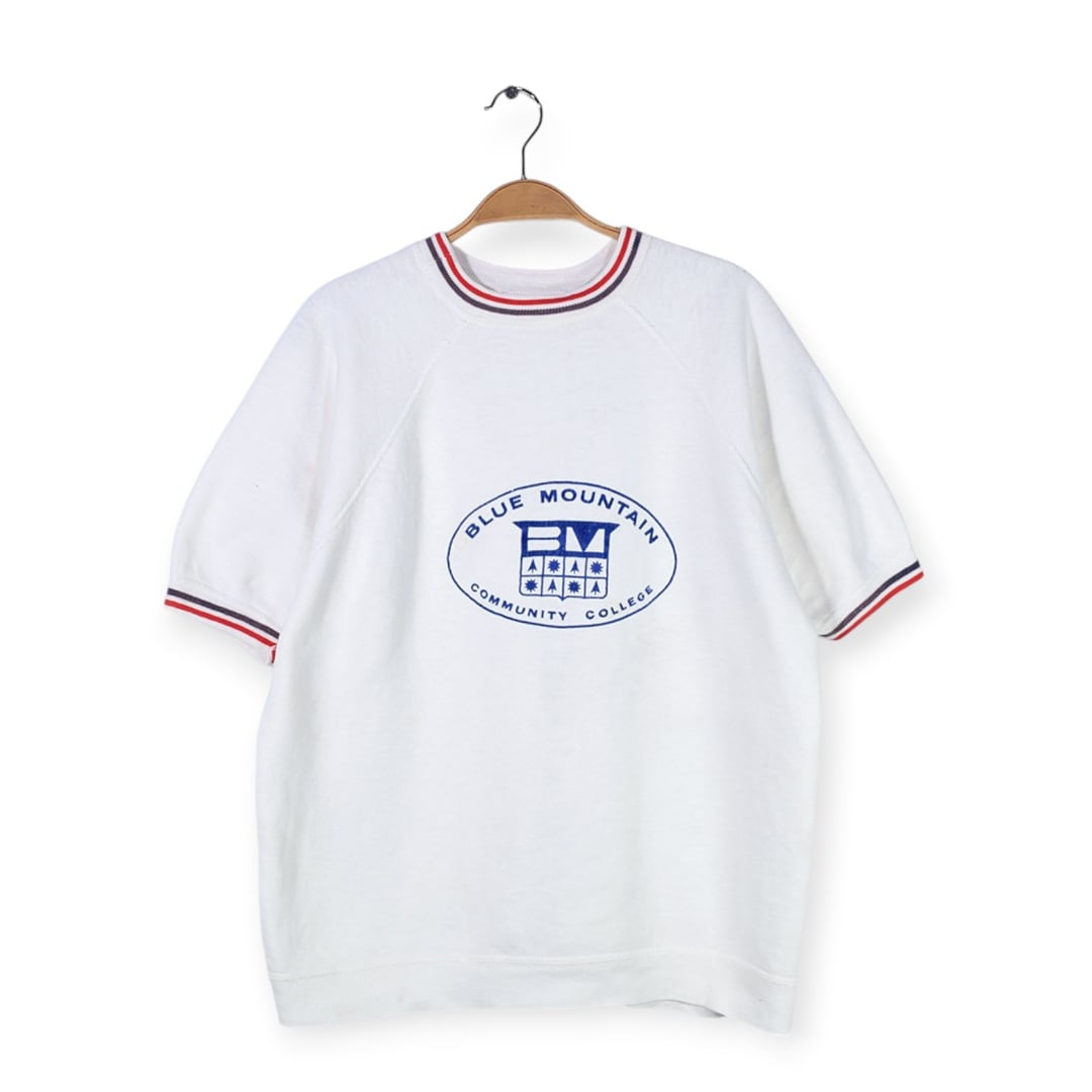60s ラインリブ ヴィンテージスウェット カレッジ フロッキープリント BLUE MOUNTAIN COMMUNITY COLLEGE ホワイト メンズL相当 古着 @CF0932