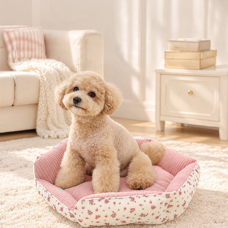 【予約販売10%OFF】jelly bear reversible bed 2color / 犬用 ベッド リバーシブル 両面 ふんわり 冬 可愛い クッション ペットマット 猫用 韓国 ペット用品 小型犬 中型犬 ハウス 高級 犬 ペットベッド