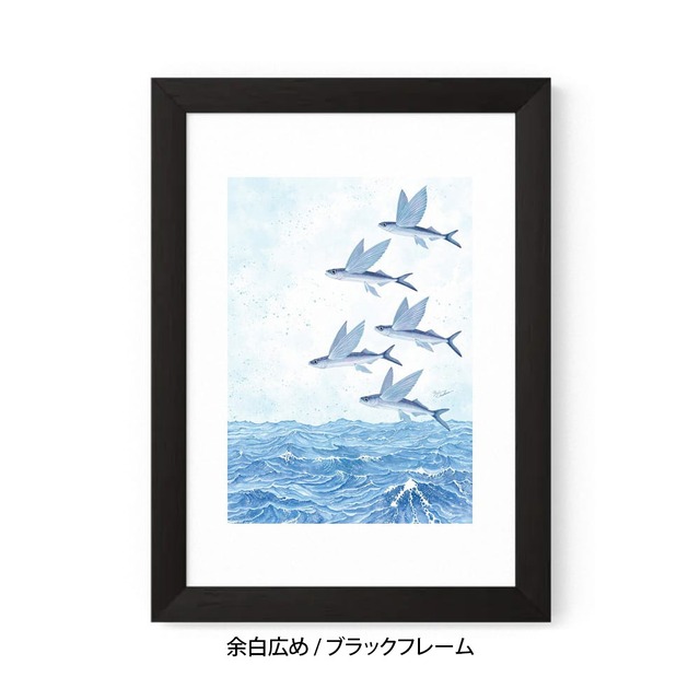 A5｜魚翔海図（ぎょしょうかいず）（フレームあり）
