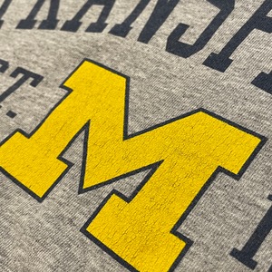 【PERRIN】カレッジ ミシガン大学 アーチロゴ Tシャツ University of Michigan Lサイズ US古着 アメリカ古着