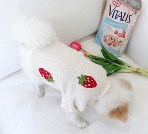 トップス