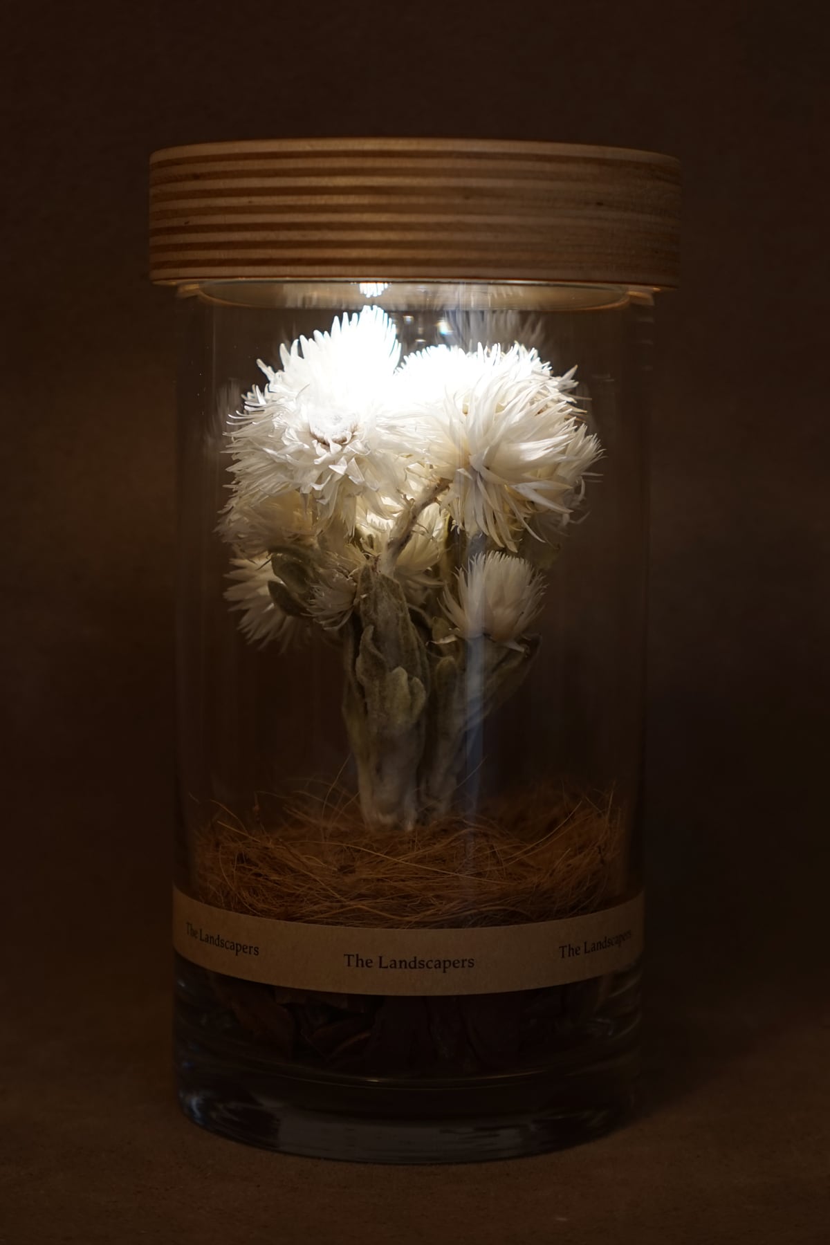 期間限定20%オフ！】LIGHTING WOOD PEDESTAL（照明木台座） | The