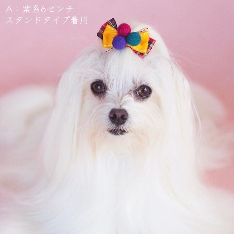 羊毛フェルト シーズ参考 商品 ミックス犬⁄シーズー ×マルチーズ