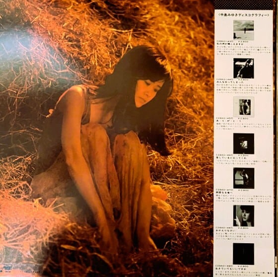 中島みゆき - 生きていてもいいですか - Aard-Vark[国内中古LP