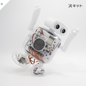 ワンランク上を目指す【クムクムSE】-キット