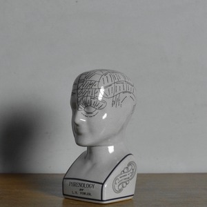 Phrenology Head 【L】 / フレノロジー ヘッド〈オブジェ・置物・人体模型・解剖〉SB2012-0027