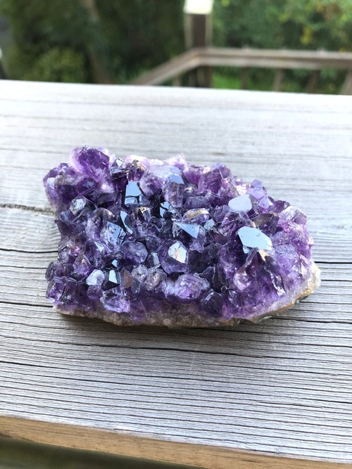 あなたの存在という価値