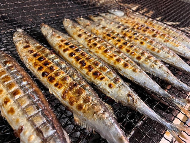 北海道サンマBOX！送料無料キャンペーン