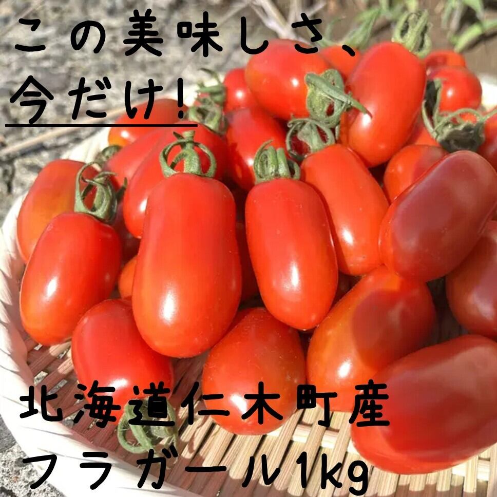 今季終了※【北海道産】上原渉さんのフラガール1㎏※完売しました