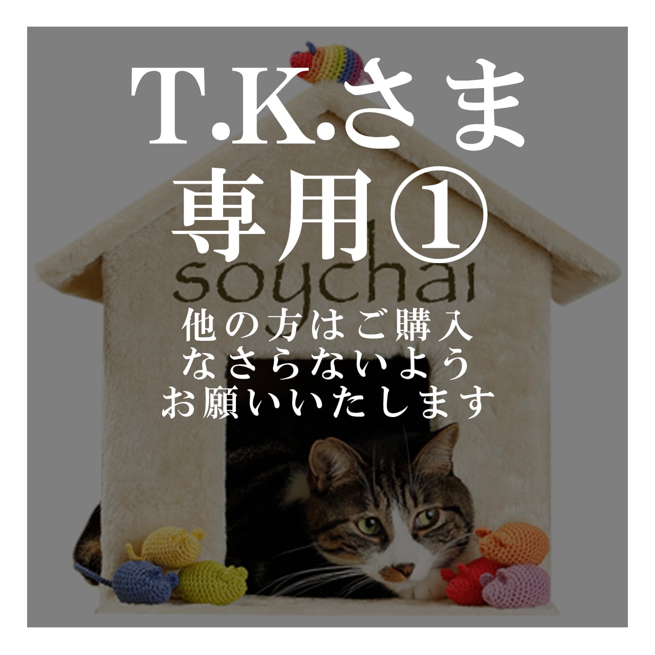 TKさまご専用(*^_^*)