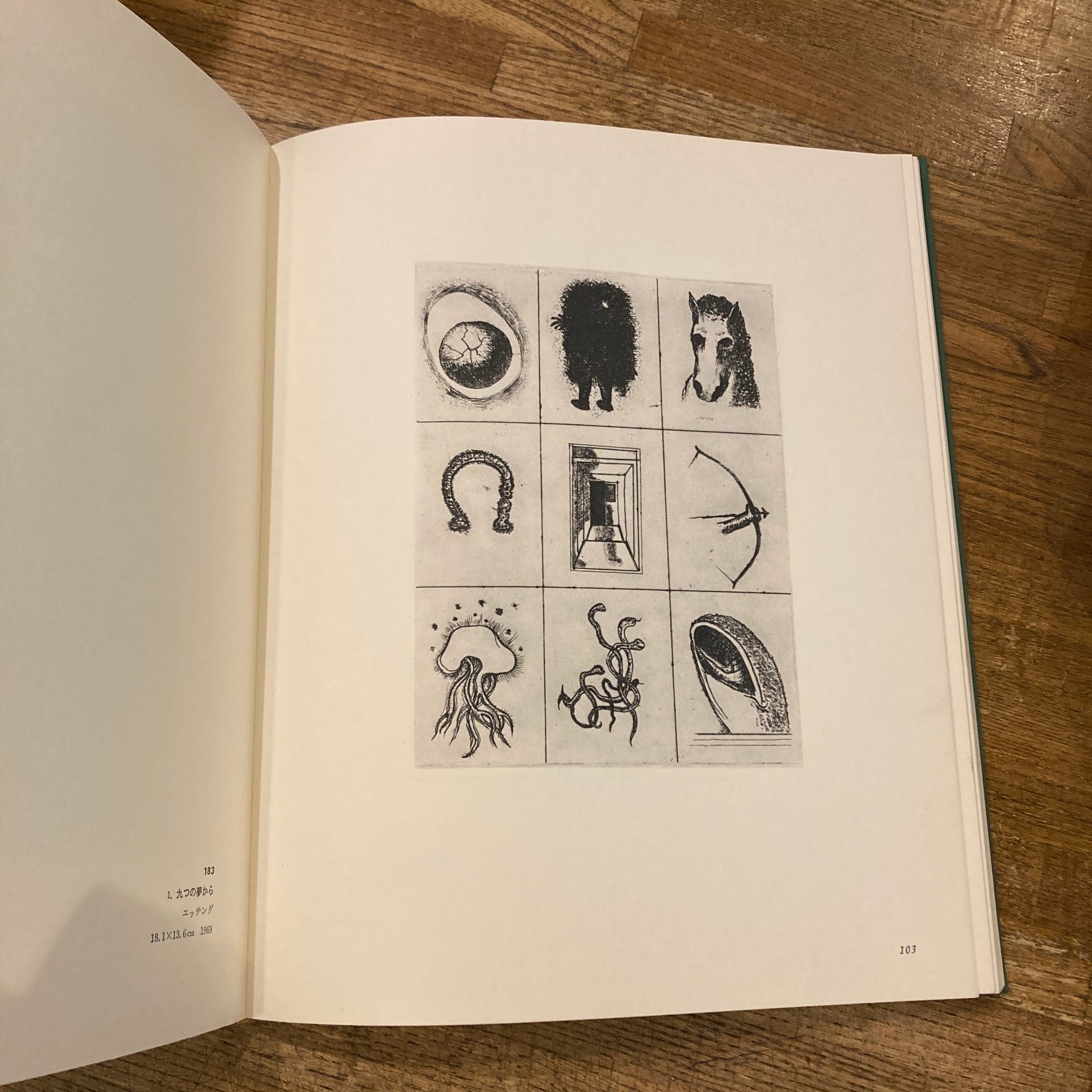 駒井哲郎 銅版画作品集 | 百年