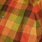 ORVIS block check button down shirt
