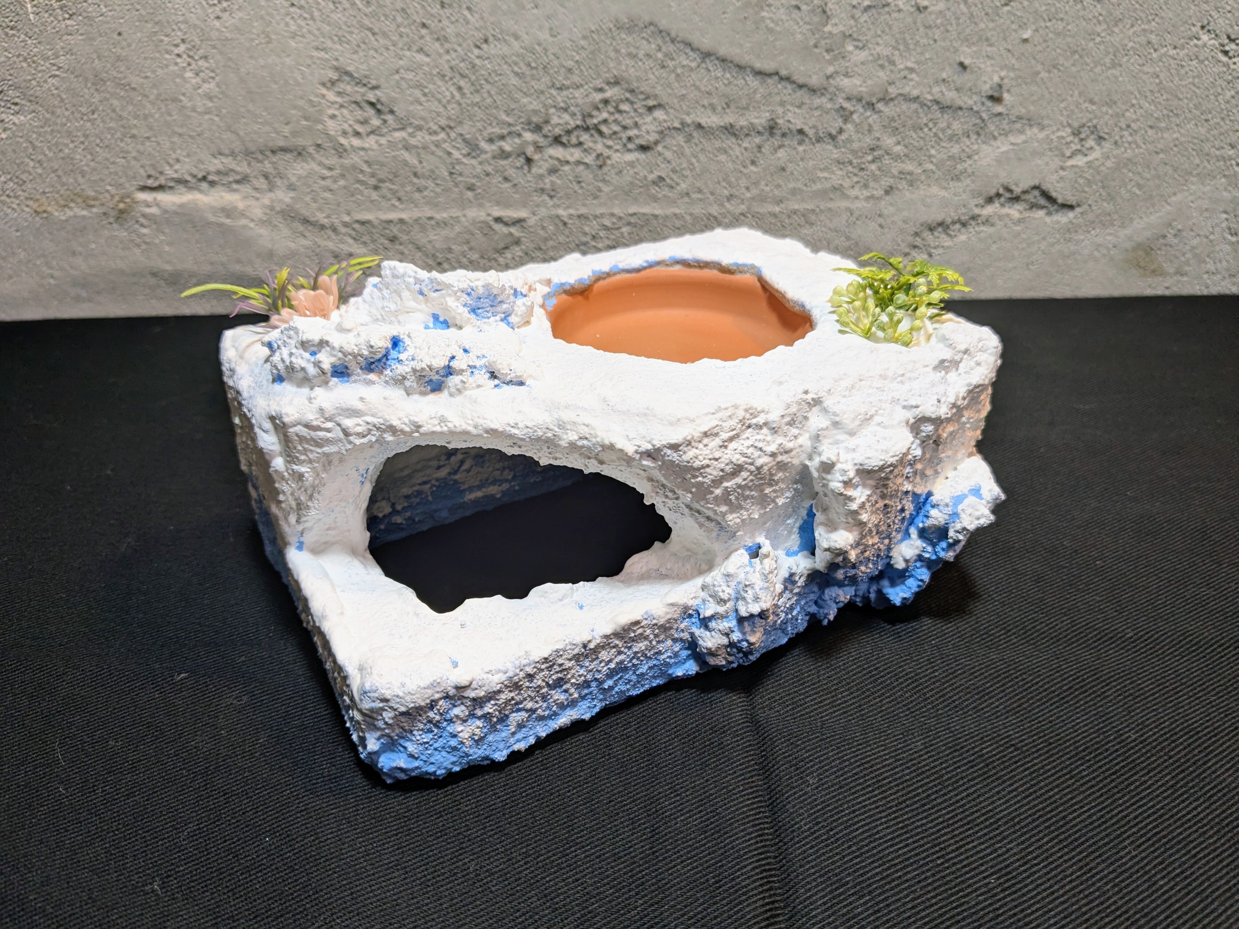 爬虫類用造形アート ともえ屋