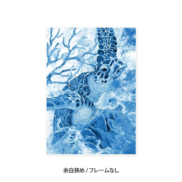 A3｜蒼海の海亀（フレームなし）