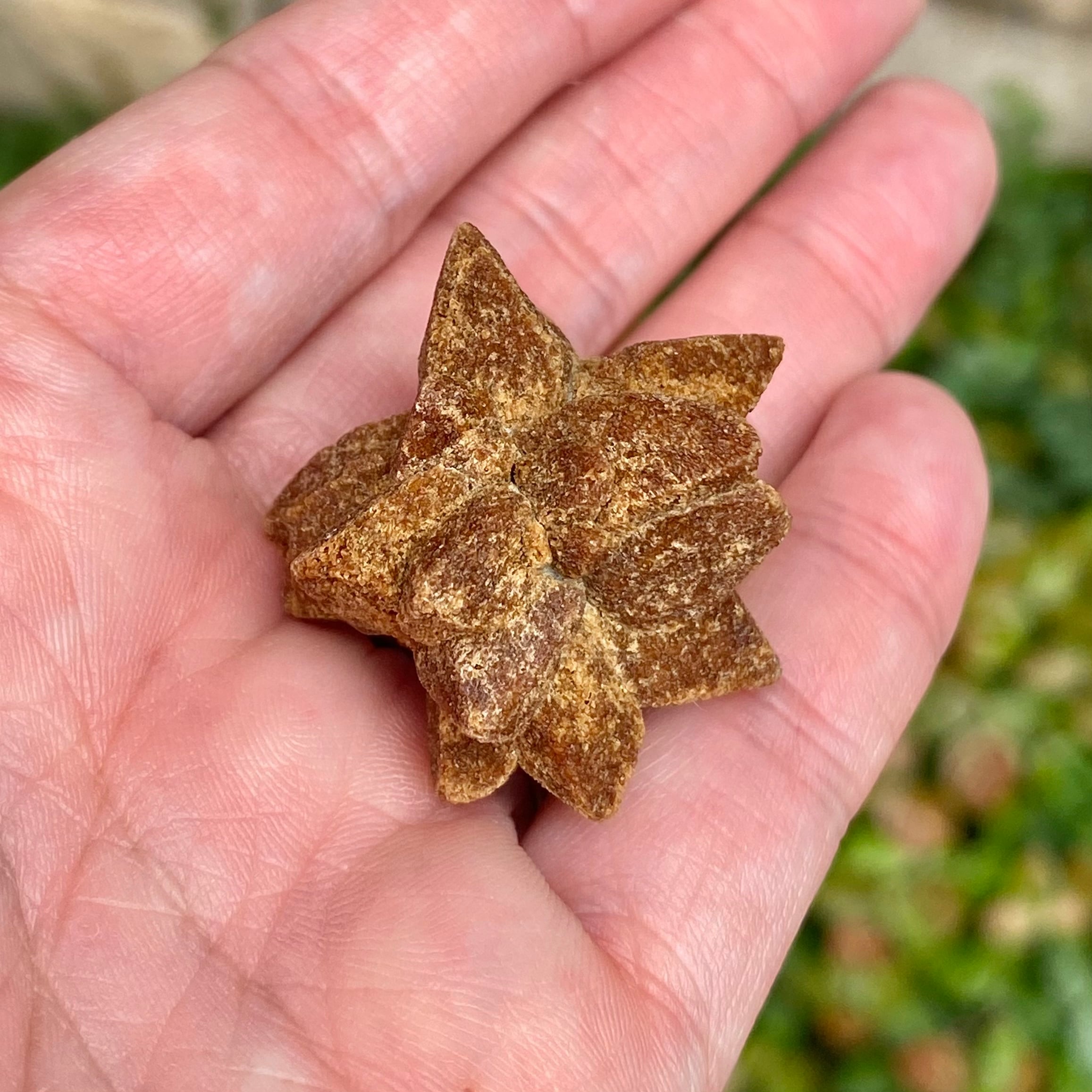 グレンドナイト | 石の魔法