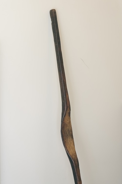 棒