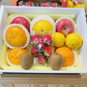 コピー：季節のフルーツセット