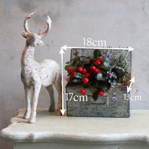 冬から春に楽しむ寄せ植え　チェッカーベリーハングポット　届いてすぐ玄関に飾れる 　プレゼントにもオススメ　